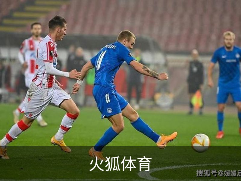 走进火狐体育